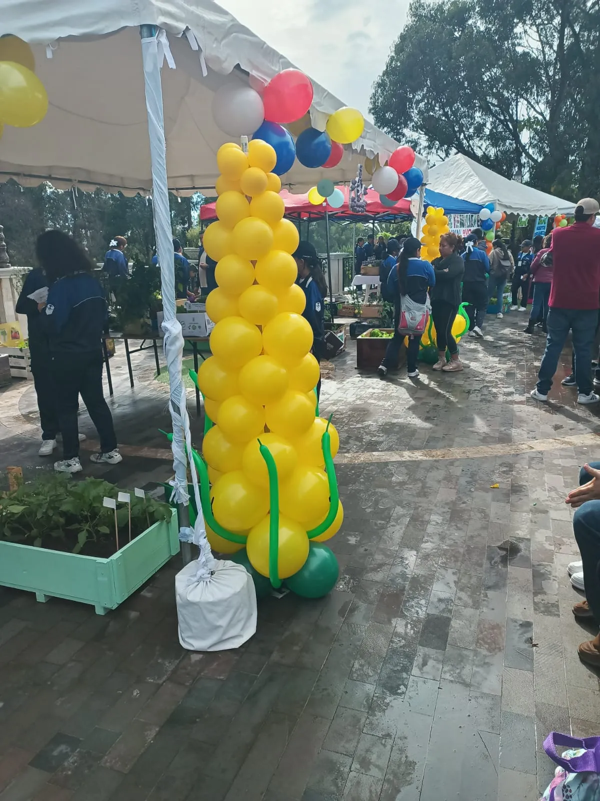 Decoración para eventos